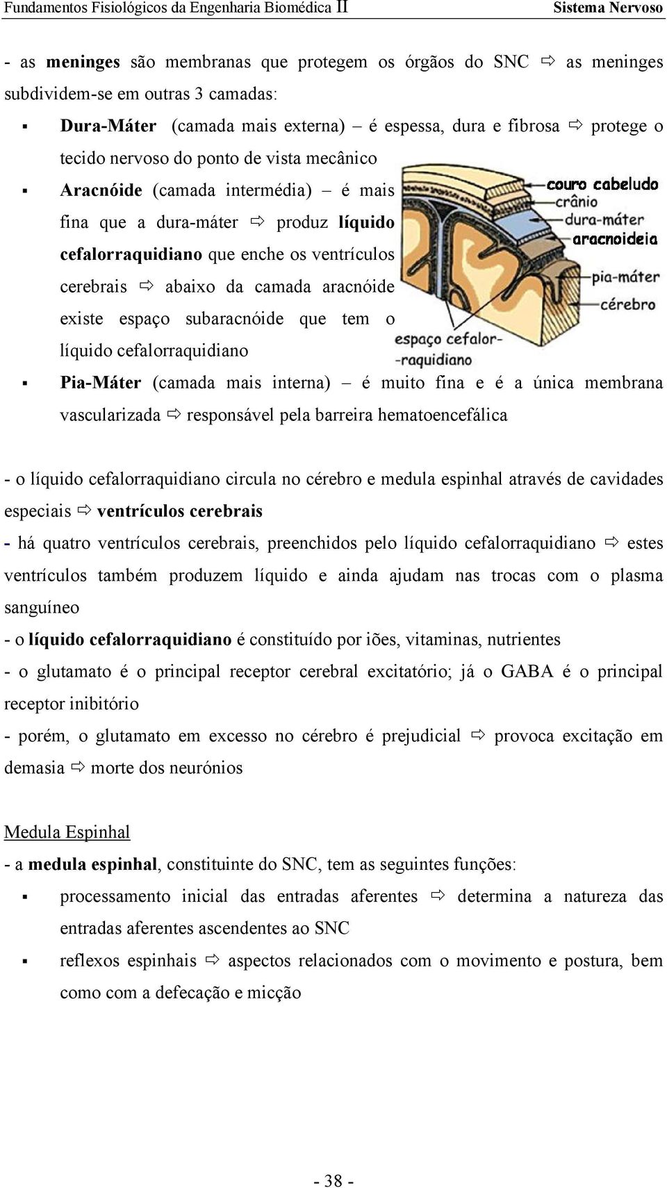 que tem o líquido cefalorraquidiano Pia-Máter (camada mais interna) é muito fina e é a única membrana vascularizada responsável pela barreira hematoencefálica - o líquido cefalorraquidiano circula no