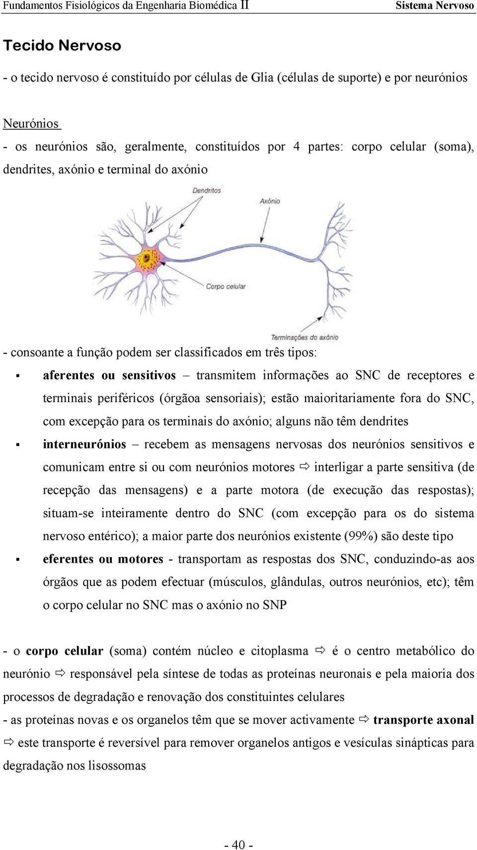 sensoriais); estão maioritariamente fora do SNC, com excepção para os terminais do axónio; alguns não têm dendrites interneurónios recebem as mensagens nervosas dos neurónios sensitivos e comunicam