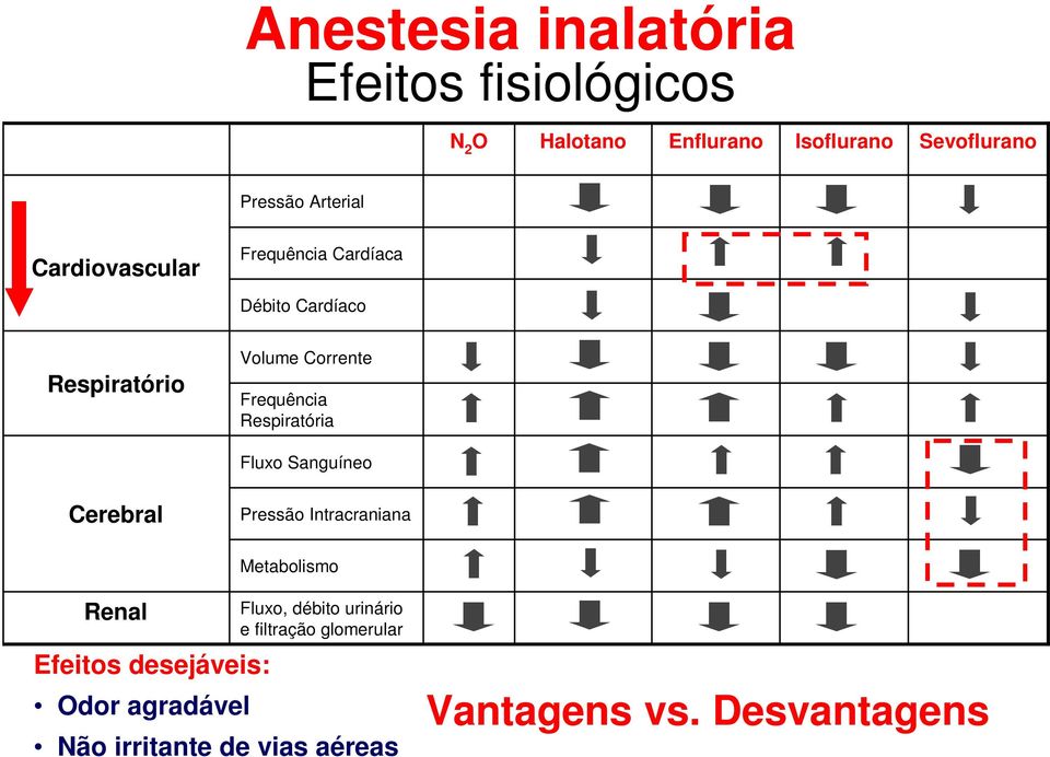 Respiratória Fluxo Sanguíneo Cerebral Pressão Intracraniana Metabolismo Renal Efeitos desejáveis: Odor