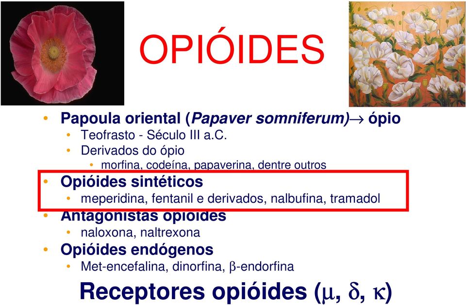 Derivados do ópio morfina, codeína, papaverina, dentre outros Opióides sintéticos