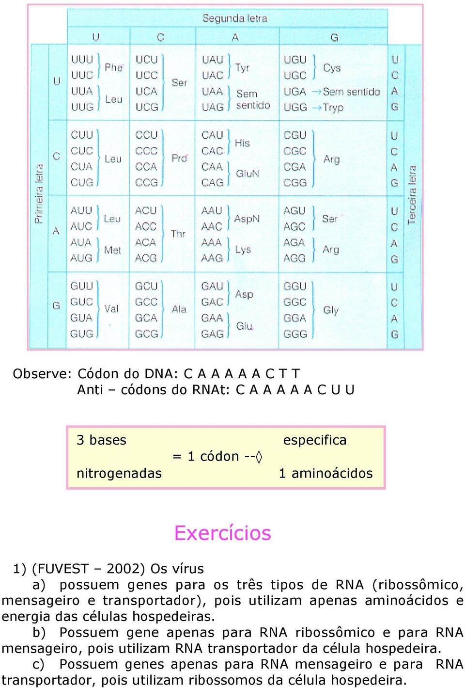 apenas aminoácidos e energia das células hospedeiras.