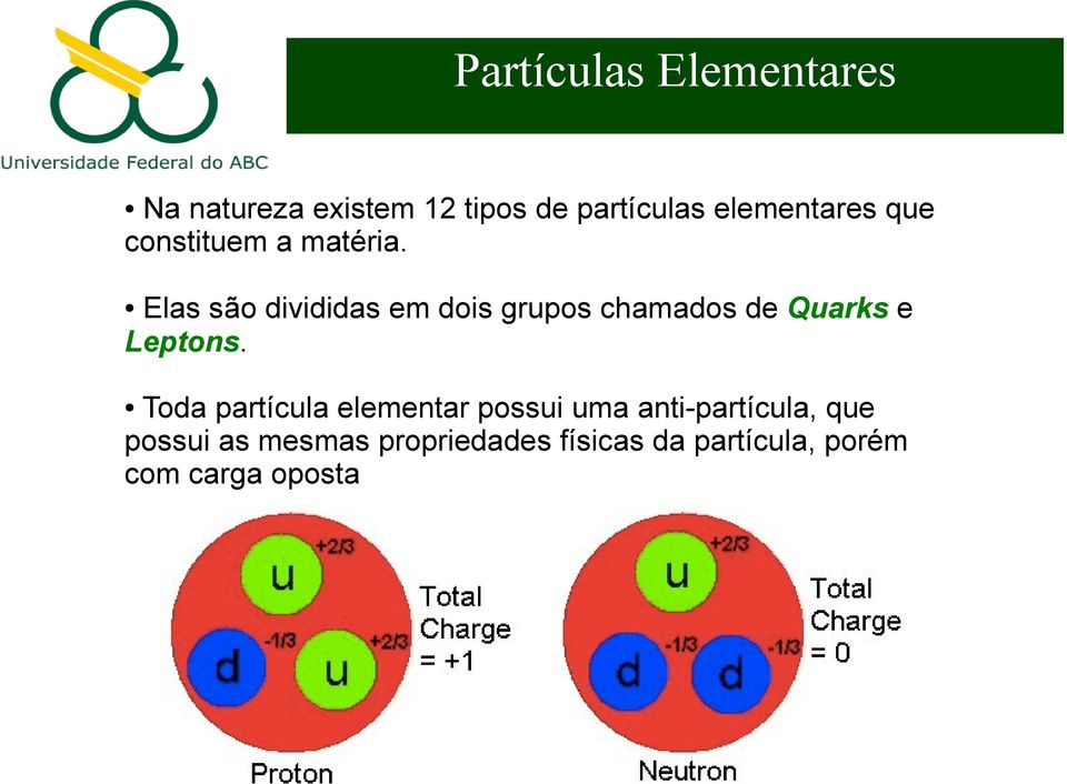 Elas são divididas em dois grupos chamados de Quarks e Leptons.