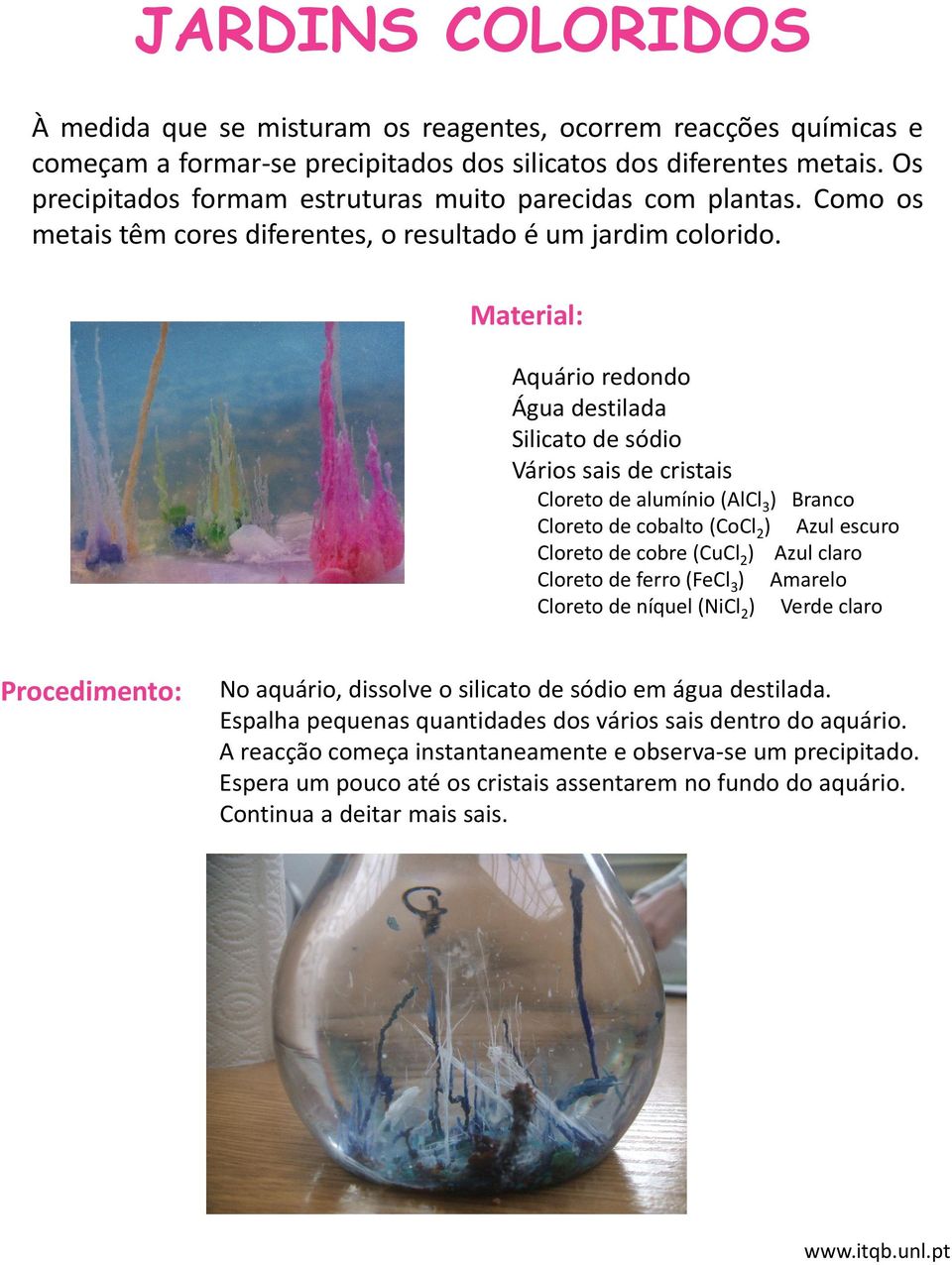 Aquário redondo Água destilada Silicato de sódio Vários sais de cristais Cloreto de alumínio (AlCl 3 3) Branco Cloreto de cobalto (CoCl 2 ) Azul escuro Cloreto de cobre (CuCl 2 ) Azul claro Cloreto