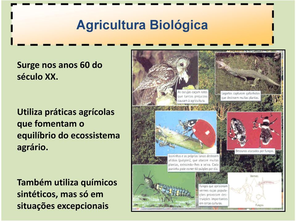 equilíbrio do ecossistema agrário.