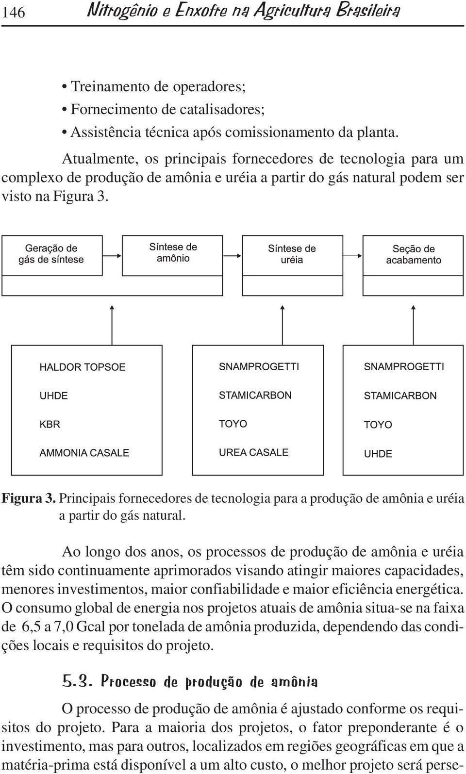 Figura 3. Principais fornecedores de tecnologia para a produção de amônia e uréia a partir do gás natural.