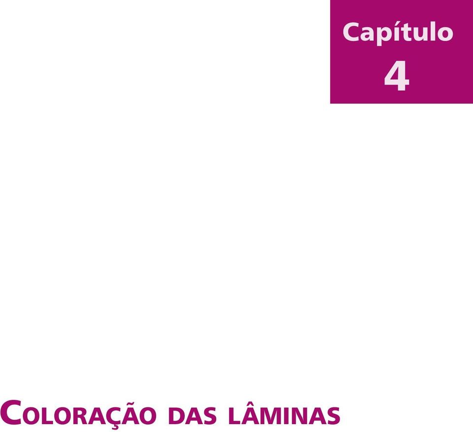 LÂMINAS