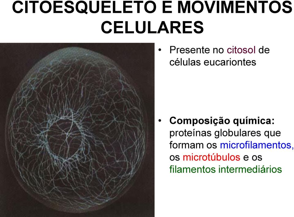 química: proteínas globulares que formam os