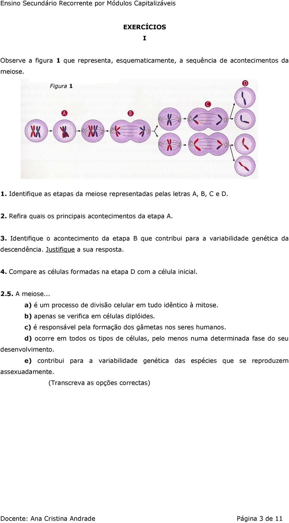 Compare as células formadas na etapa D com a célula inicial. 2.5. A meiose... a) é um processo de divisão celular em tudo idêntico à mitose. b) apenas se verifica em células diplóides.