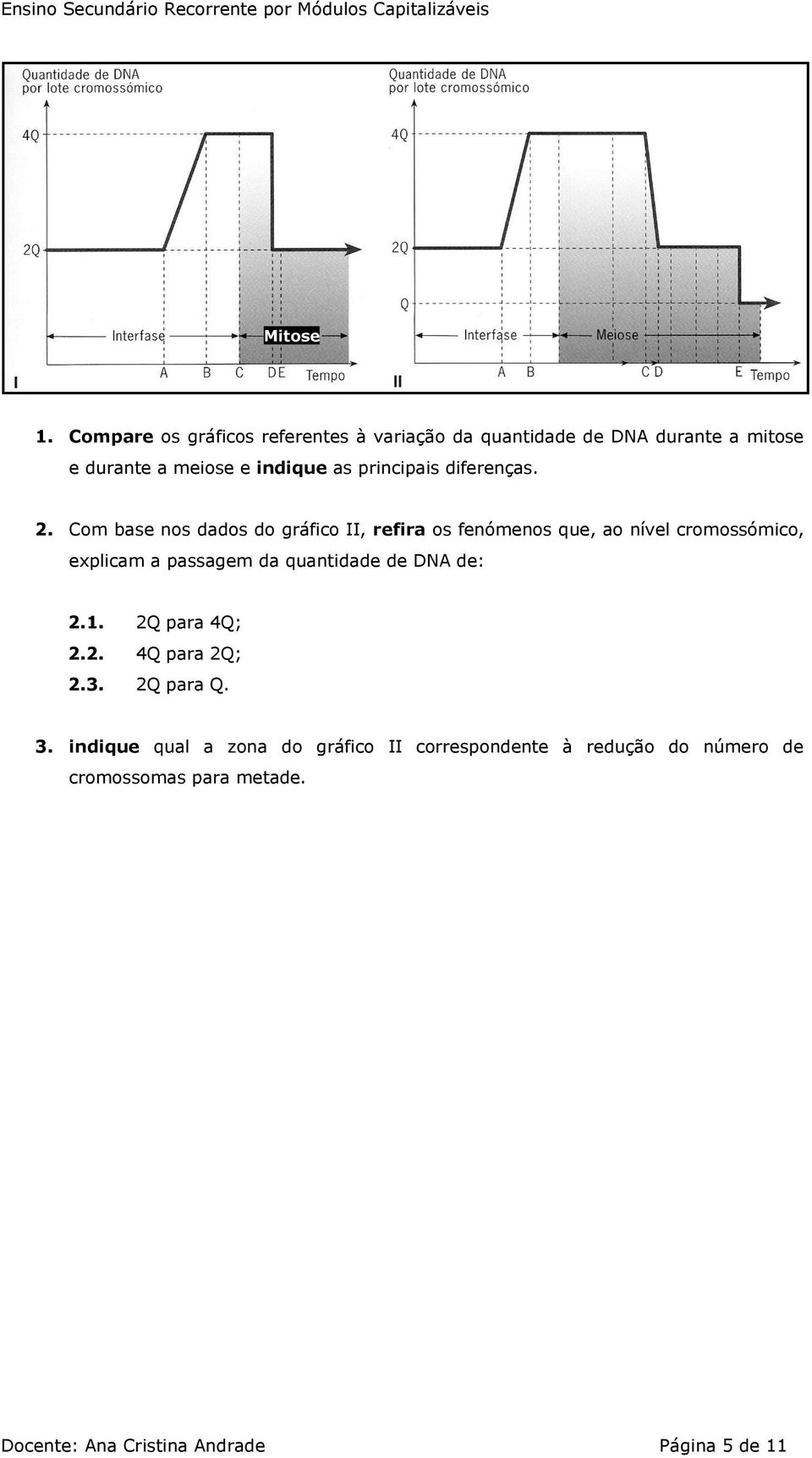 principais diferenças. 2.