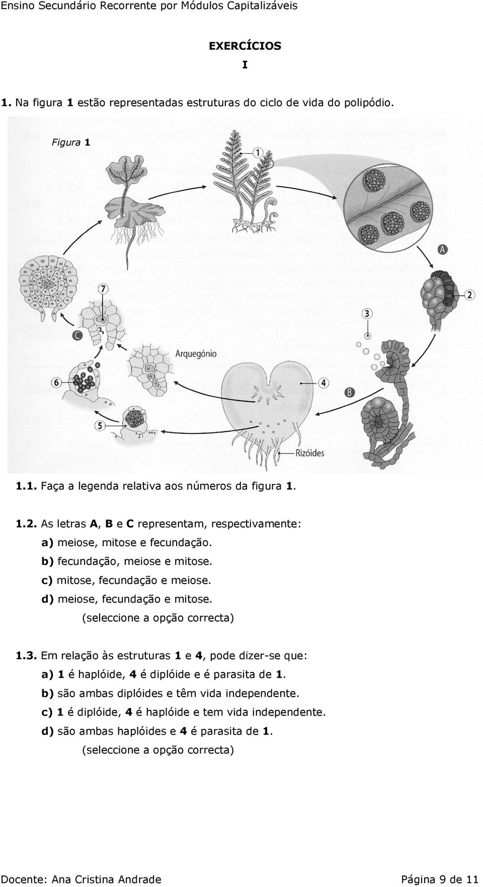 d) meiose, fecundação e mitose. (seleccione a opção correcta) 1.3. Em relação às estruturas 1 e 4, pode dizer-se que: a) 1 é haplóide, 4 é diplóide e é parasita de 1.