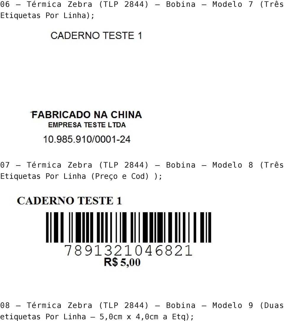 Etiquetas Por Linha (Preço e Cod) ); 08 Térmica Zebra (TLP