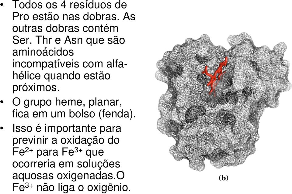 alfahélice quando estão próximos. O grupo heme, planar, fica em um bolso (fenda).