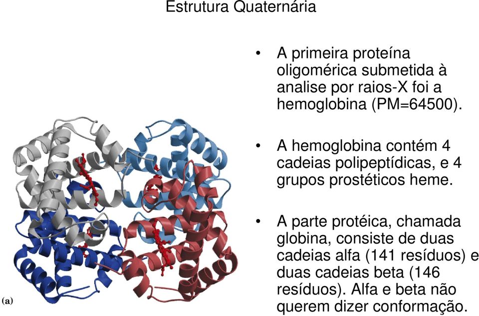 A hemoglobina contém 4 cadeias polipeptídicas, e 4 grupos prostéticos heme.