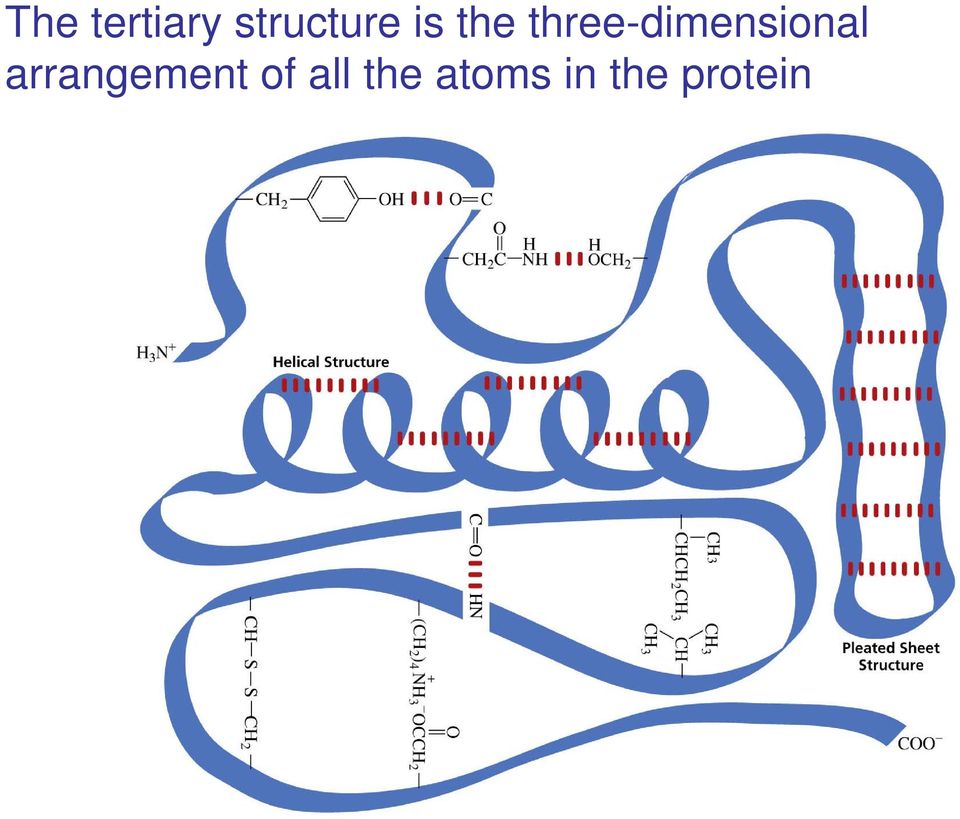 three-dimensional