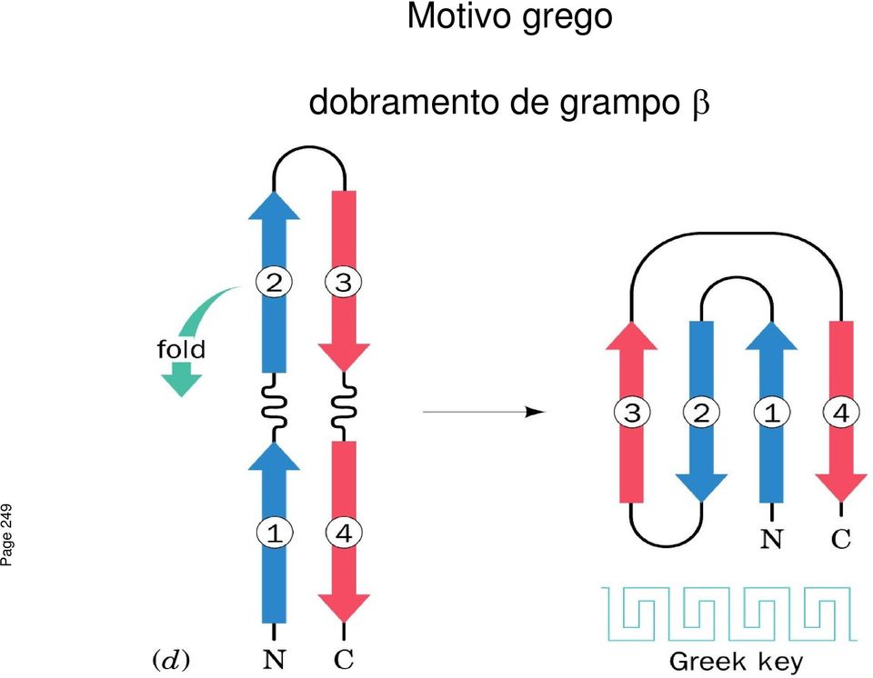 dobramento