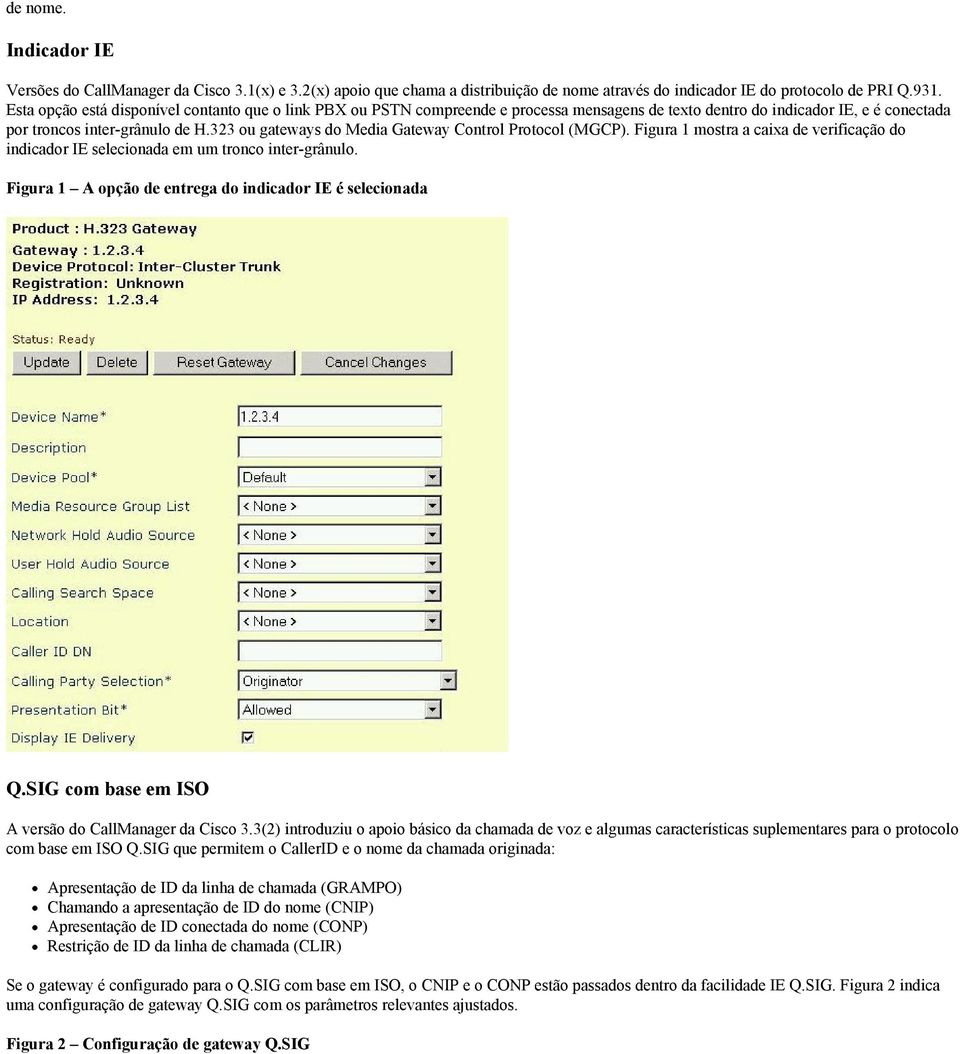 323 ou gateways do Media Gateway Control Protocol (MGCP). Figura 1 mostra a caixa de verificação do indicador IE selecionada em um tronco inter-grânulo.