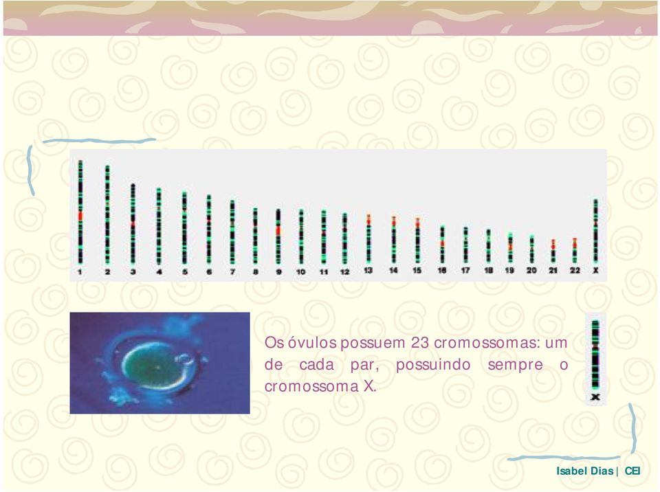 cada par, possuindo