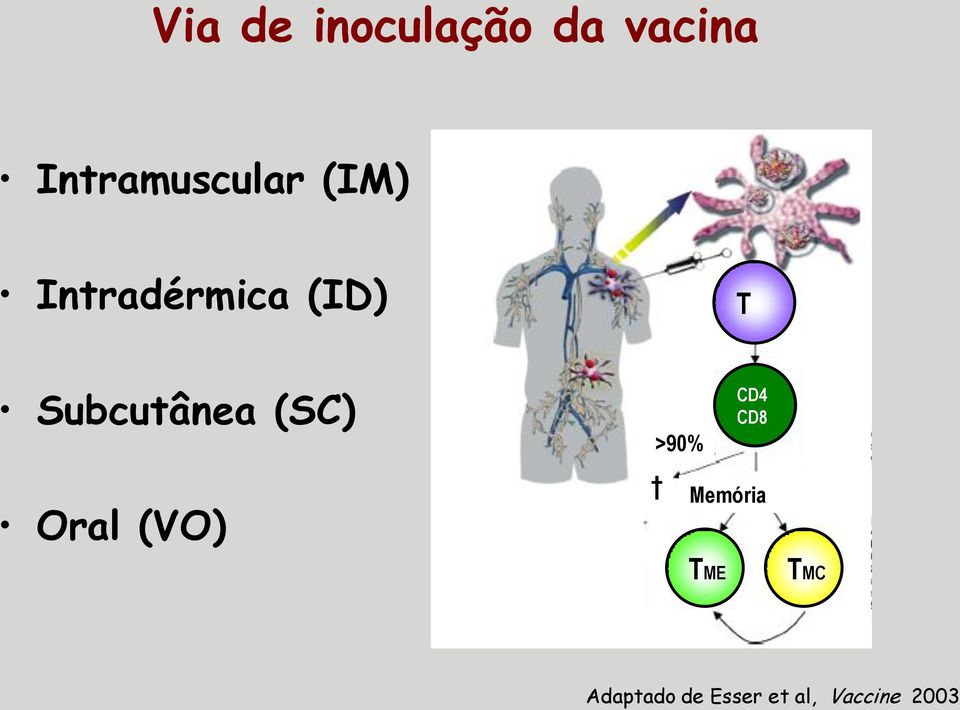 Oral (VO) >90% Memória TME T CD4 CD8 TMC T
