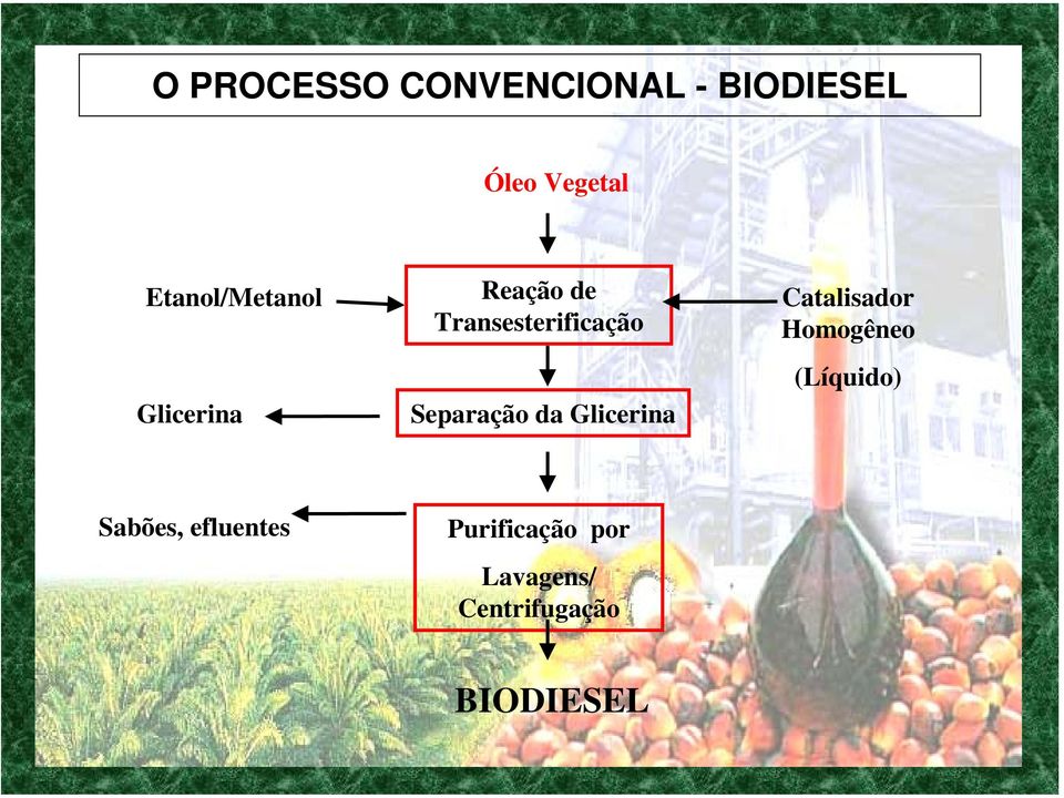 Separação da Glicerina Catalisador Homogêneo (Líquido)