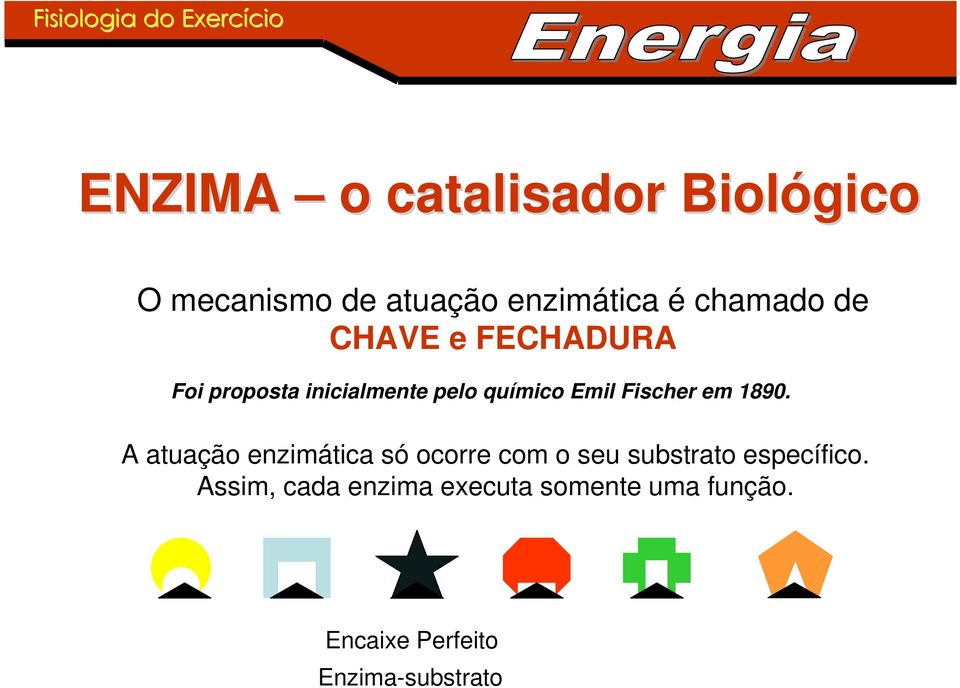 em 1890. A atuação enzimática só ocorre com o seu substrato específico.