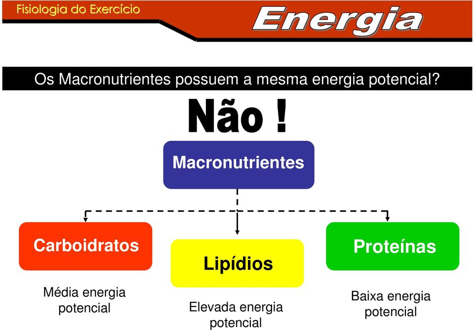 Macronutrientes Carboidratos Média energia