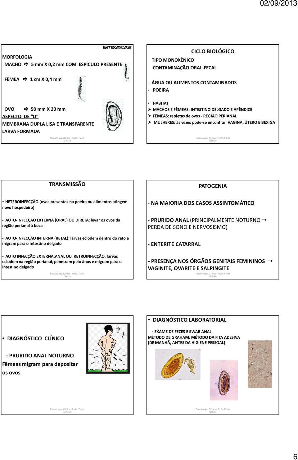 VAGINA, ÚTERO E BEXIGA TRANSMISSÃO PATOGENIA - HETEROINFECÇÃO (ovos presentes na poeira ou alimentos atingem novo hospedeiro) - AUTO-INFECÇÃO EXTERNA (ORAL) OU DIRETA: levar os ovos da região