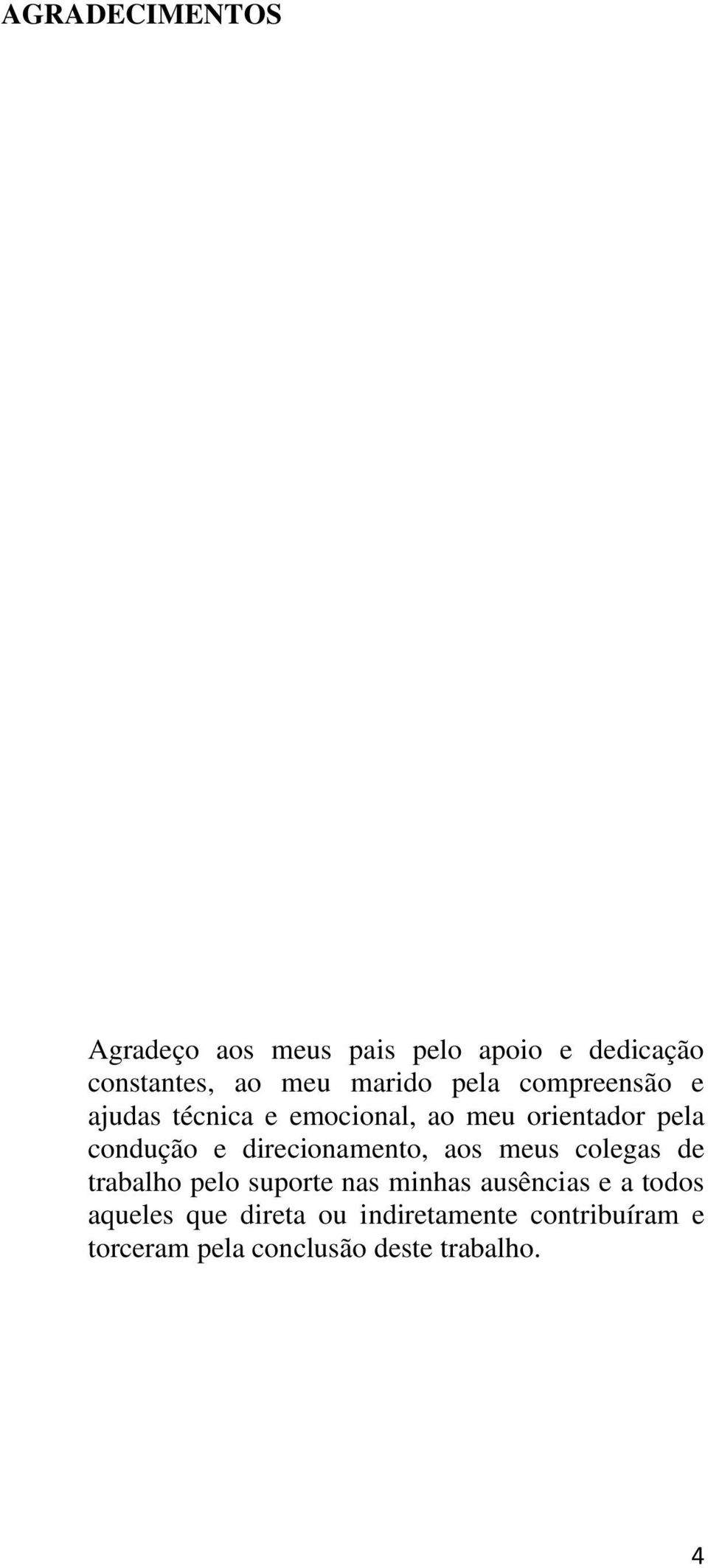 direcionamento, aos meus colegas de trabalho pelo suporte nas minhas ausências e a