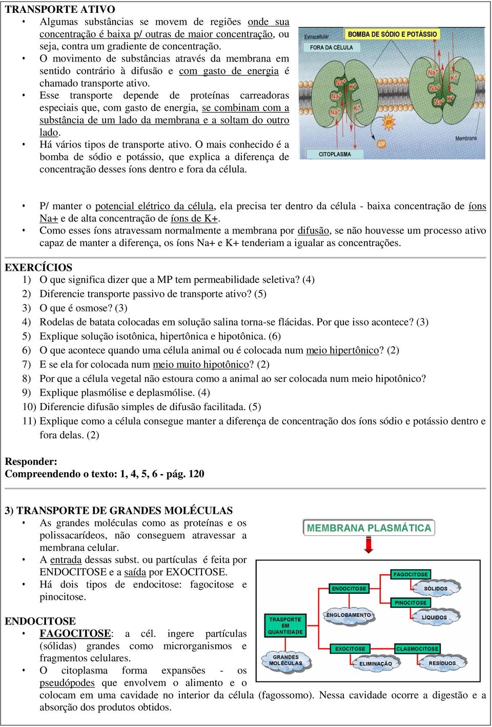 Esse transporte depende de proteínas carreadoras especiais que, com gasto de energia, se combinam com a substância de um lado da membrana e a soltam do outro lado. Há vários tipos de transporte ativo.