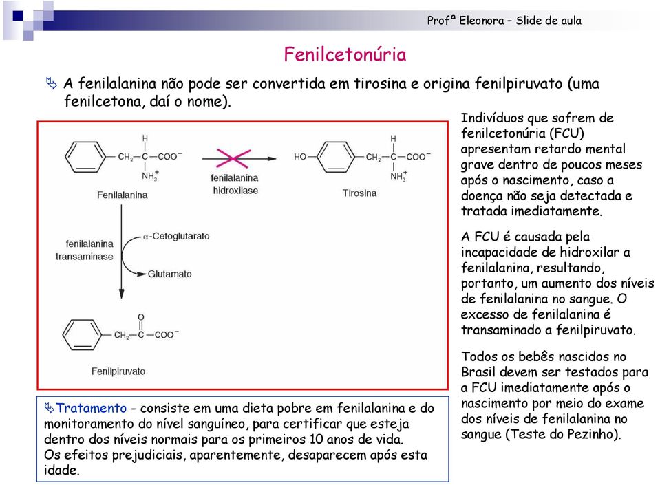 A FU é causada pela incapacidade de hidroxilar a fenilalanina, resultando, portanto, um aumento dos níveis de fenilalanina no sangue. excesso de fenilalanina é transaminado a fenilpiruvato.