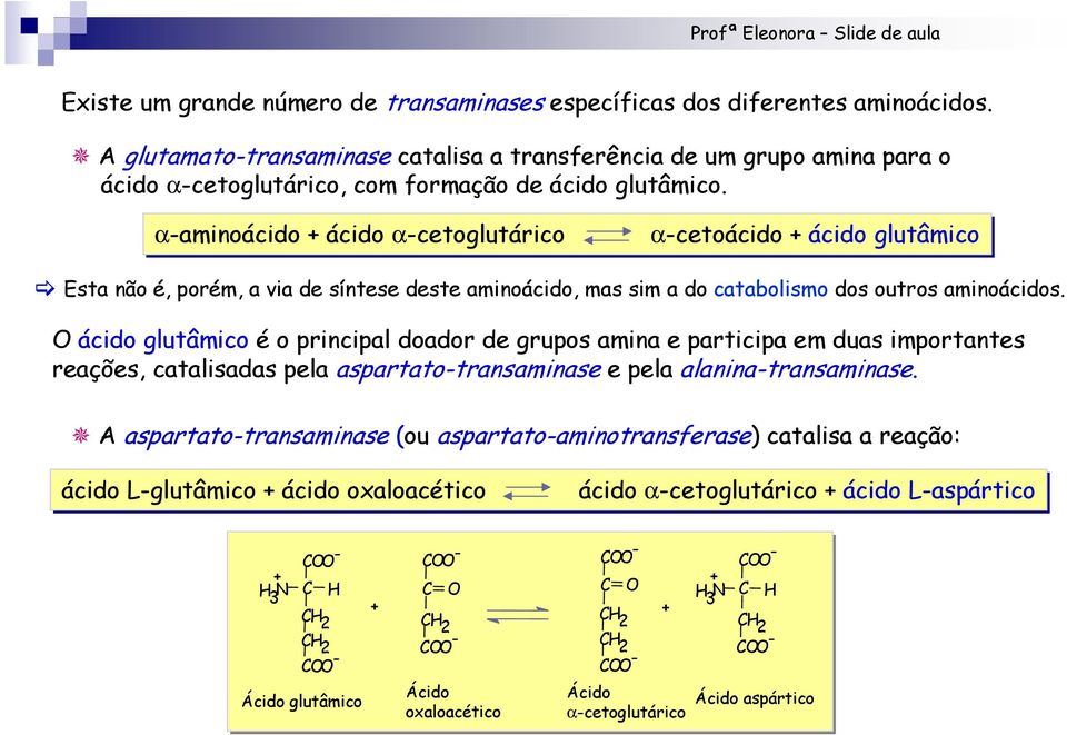 α-aminoácido + ácido α-cetoglutárico α-cetoácido + ácido glutâmico Esta não é, porém, a via de síntese deste aminoácido, mas sim a do catabolismo dos outros aminoácidos.