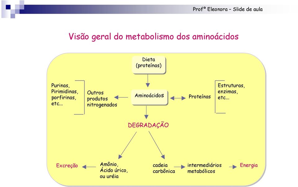 .. utros produtos nitrogenados Aminoácidos Proteínas Estruturas,