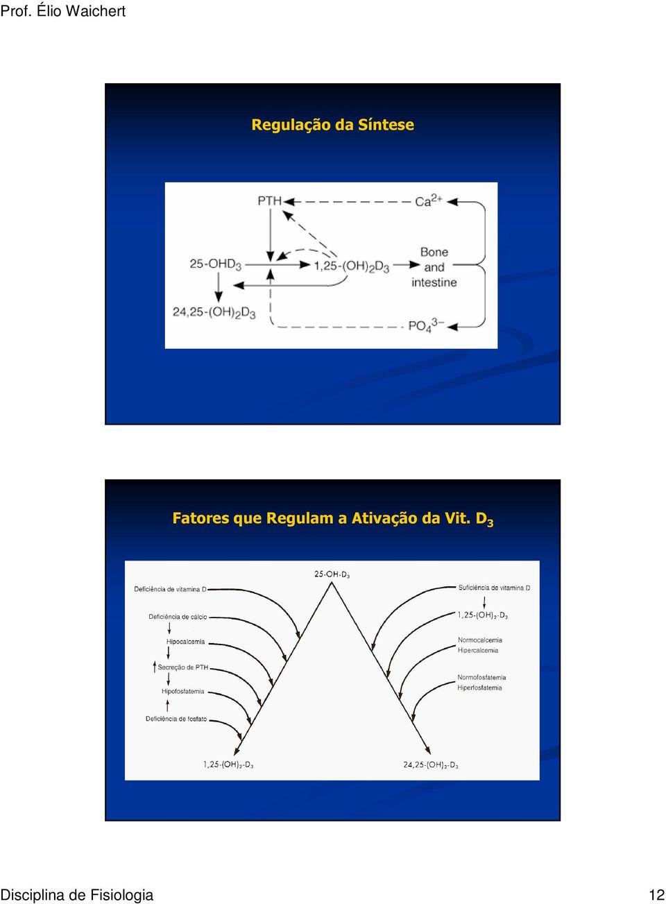 Ativação da Vit.