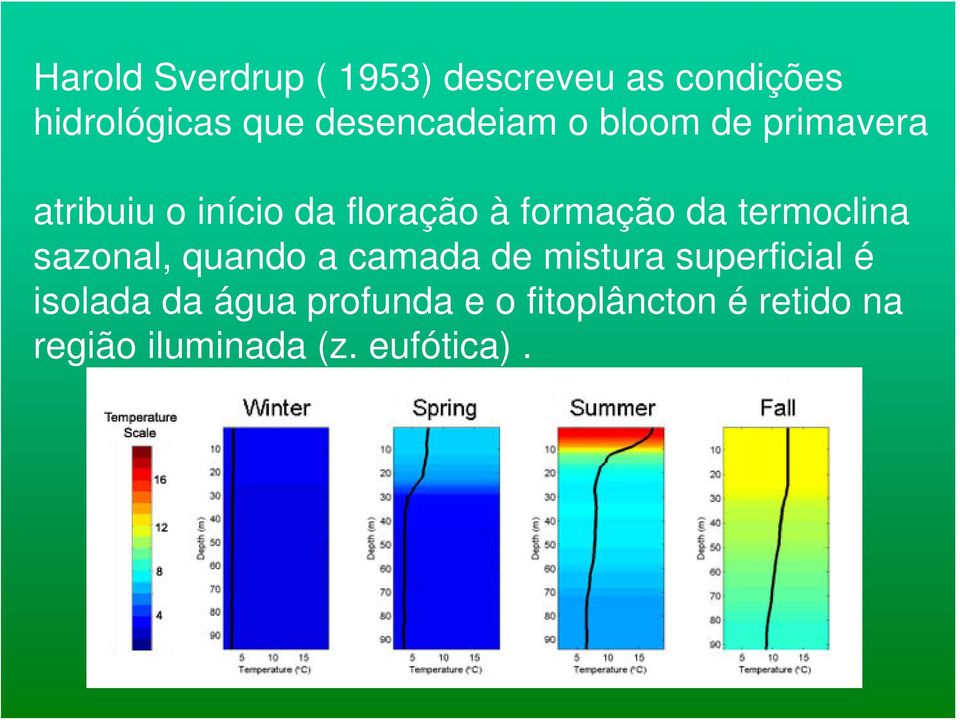 formação da termoclina sazonal, quando a camada de mistura superficial