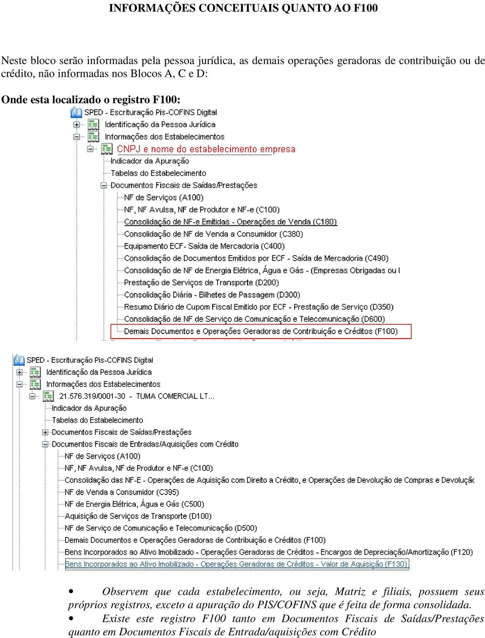 estabelecimento, ou seja, Matriz e filiais, possuem seus próprios registros, exceto a apuração do PIS/COFINS que é feita de forma