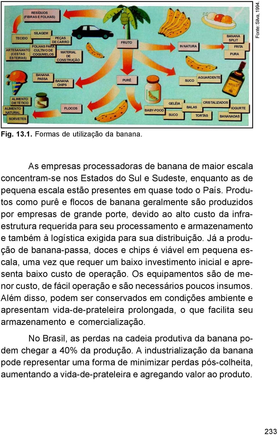 As empresas processadoras de banana de maior escala concentram-se nos Estados do Sul e Sudeste, enquanto as de pequena escala estão presentes em quase todo o País.