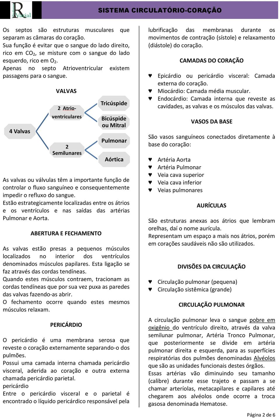 4 Valvas VALVAS 2 Atrioventriculares 2 Semilunares As valvas ou válvulas têm a importante função de controlar o fluxo sanguíneo e consequentemente impedir o refluxo do sangue.