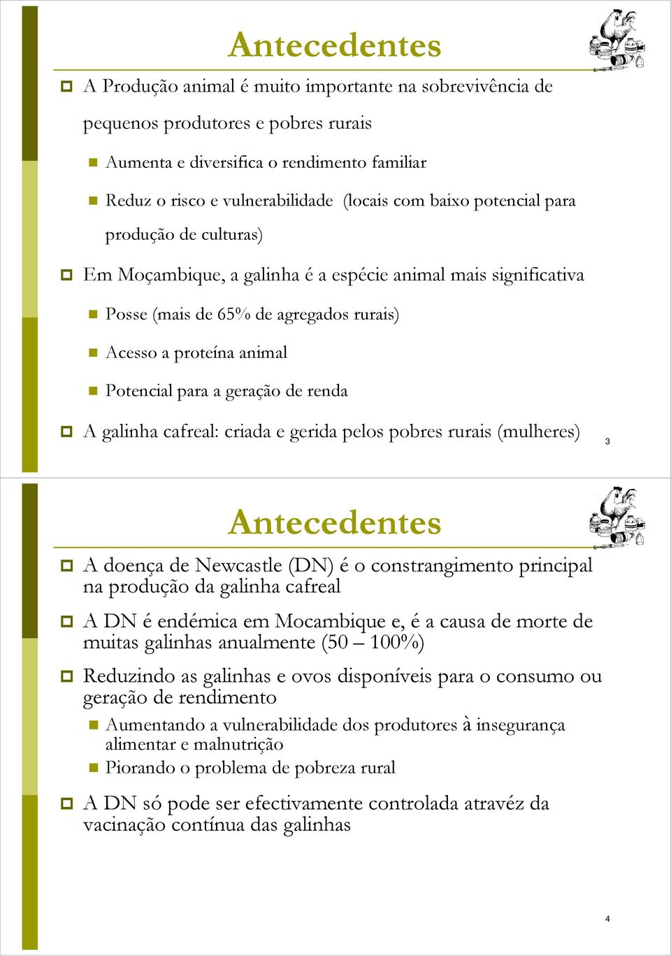 A galinha cafreal: criada e gerida pelos pobres rurais (mulheres) 3 Antecedentes A doença de Newcastle (DN) é o constrangimento principal na produção da galinha cafreal A DN é endémica em Mocambique