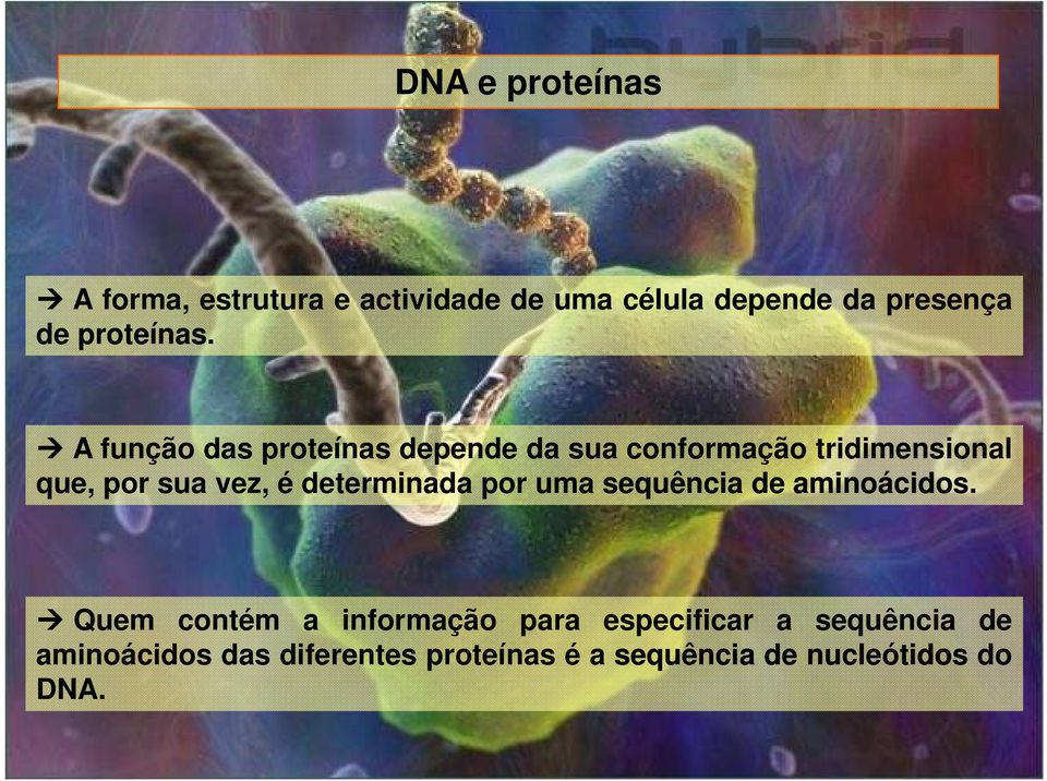 A função das proteínas depende da sua conformação tridimensional que, por sua vez, é