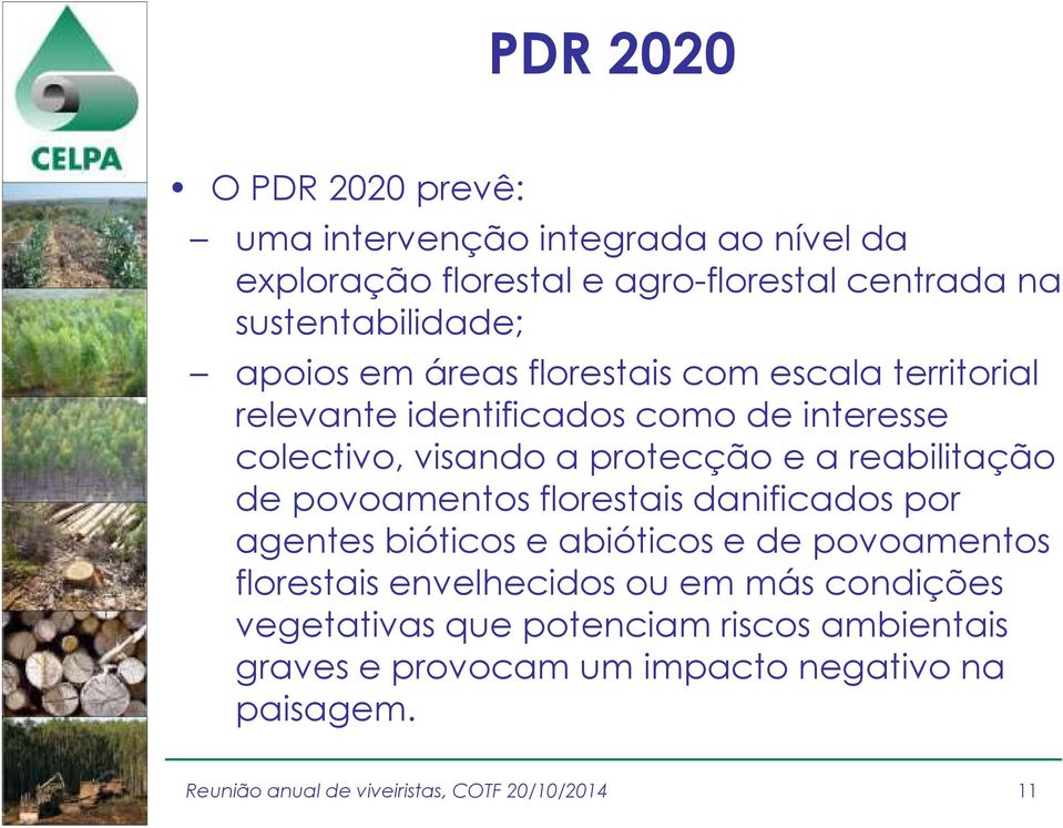 visando a protecção e a reabilitação de povoamentos florestais danificados por agentes bióticos e abióticos e de povoamentos