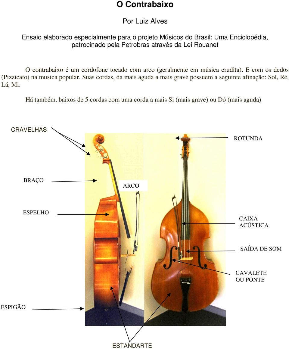 E com os dedos (Pizzicato) na musica popular. Suas cordas, da mais aguda a mais grave possuem a seguinte afinação: Sol, Ré, Lá, Mi.