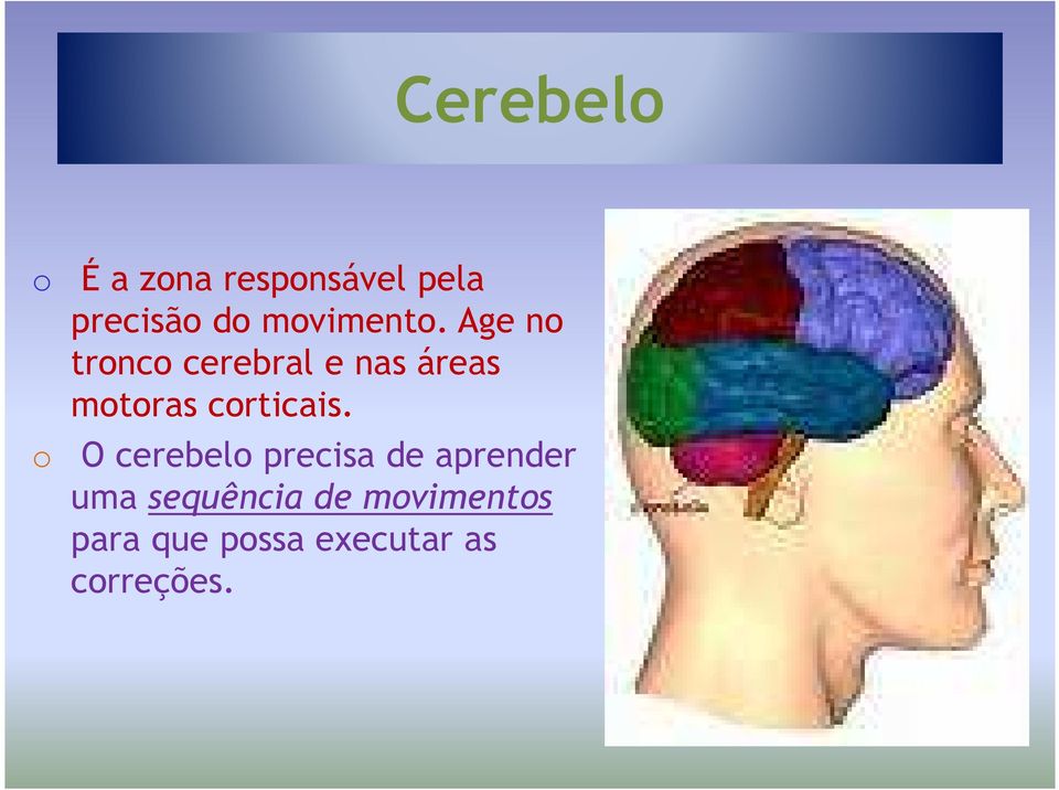 Age no tronco cerebral e nas áreas motoras corticais.