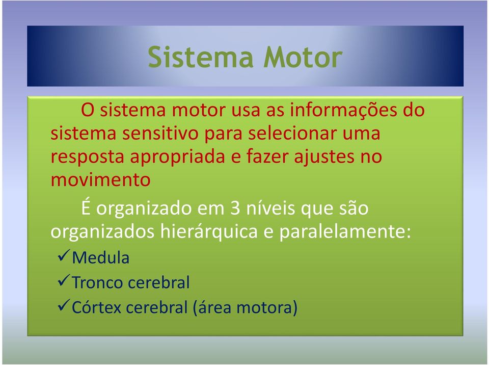 no movimento É organizado em 3 níveis que são organizados