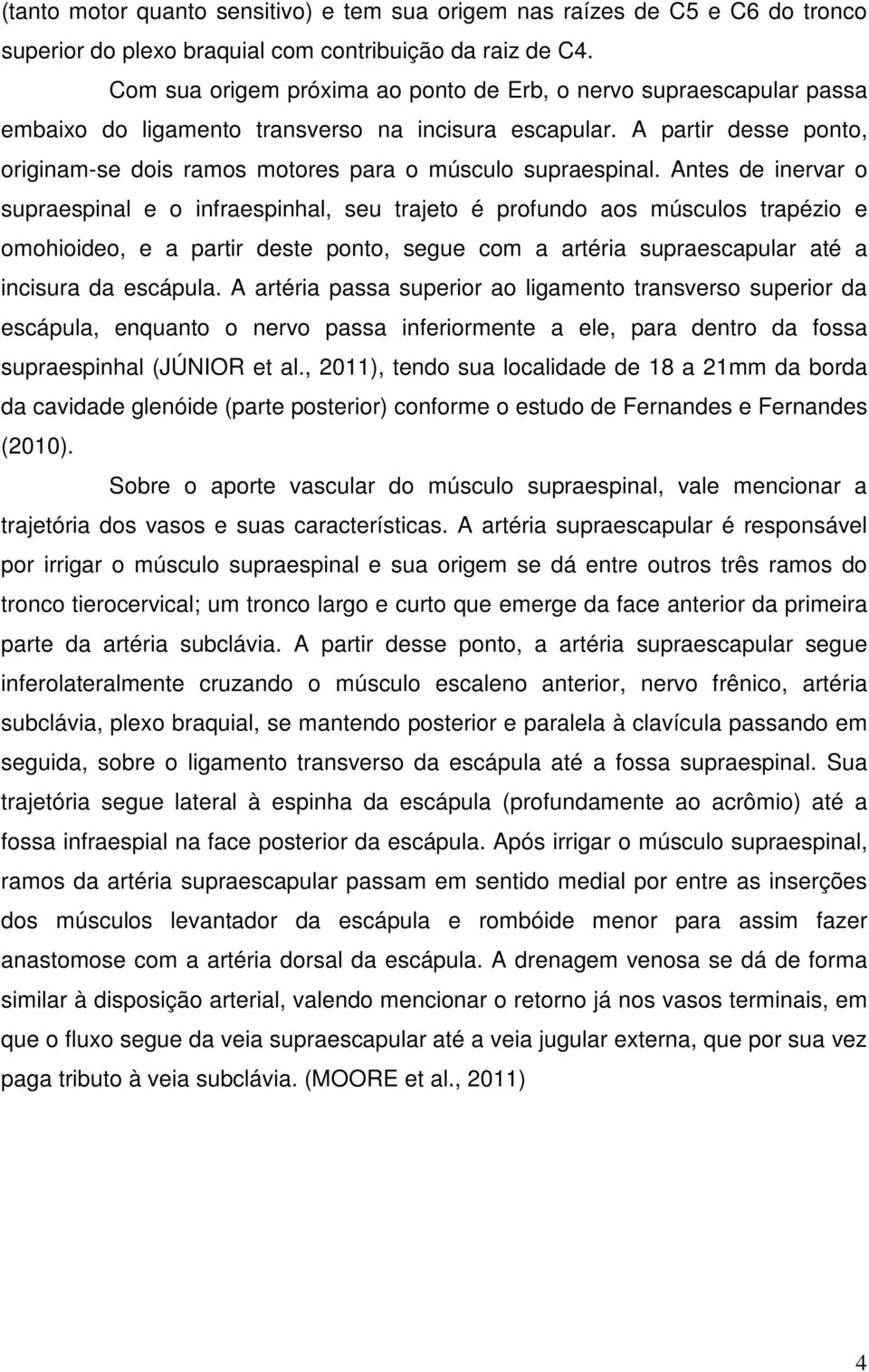 A partir desse ponto, originam-se dois ramos motores para o músculo supraespinal.