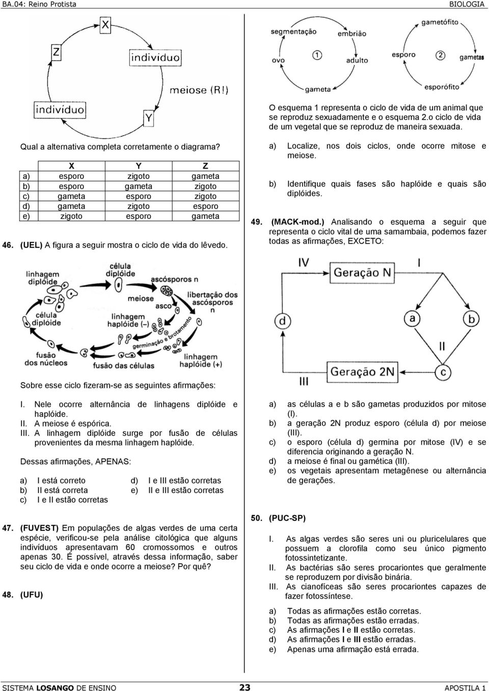 (UEL) A figura a seguir mostra o ciclo de vida do lêvedo. a) Localize, nos dois ciclos, onde ocorre mitose e meiose. b) Identifique quais fases são haplóide e quais são diplóides. 49. (MACK-mod.