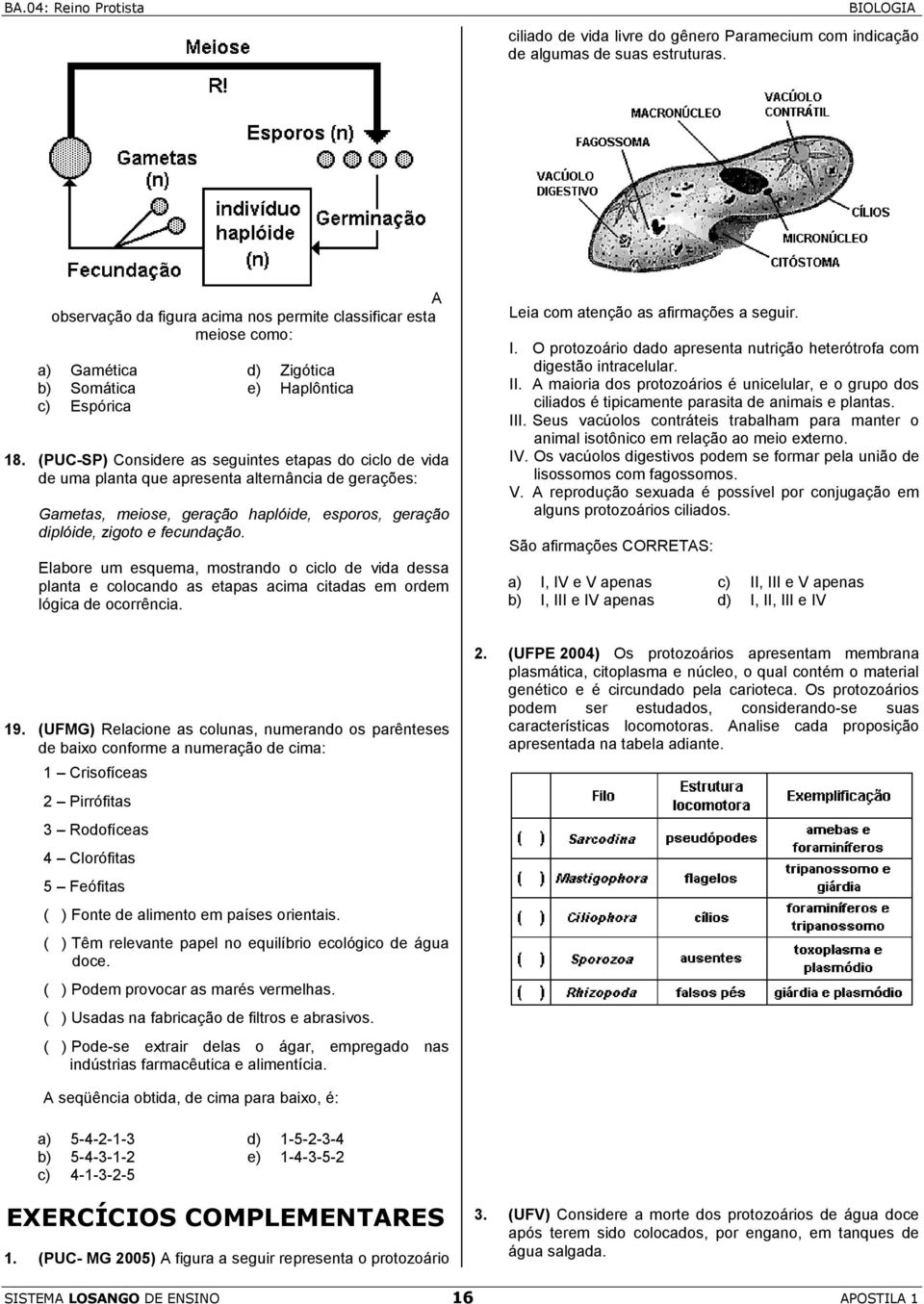 (PUC-SP) Considere as seguintes etapas do ciclo de vida de uma planta que apresenta alternância de gerações: Gametas, meiose, geração haplóide, esporos, geração diplóide, zigoto e fecundação.