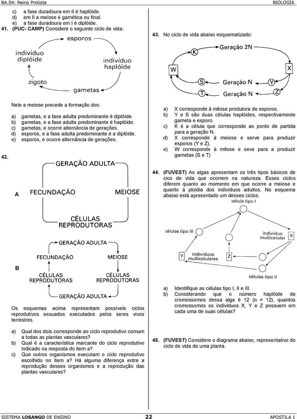 c) gametas, e ocorre alternância de gerações. d) esporos, e a fase adulta predominante é a diplóide. e) esporos, e ocorre alternância de gerações. a) X corresponde à mitose produtora de esporos.