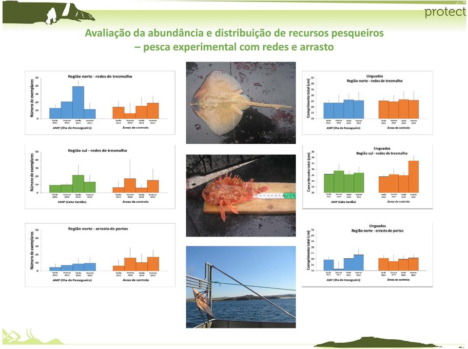 recursos pesqueiros