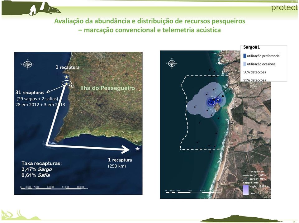 safias) 28 em 2012 + 3 em 2013 1 recaptura Ilha do Pessegueiro utilização ocasional
