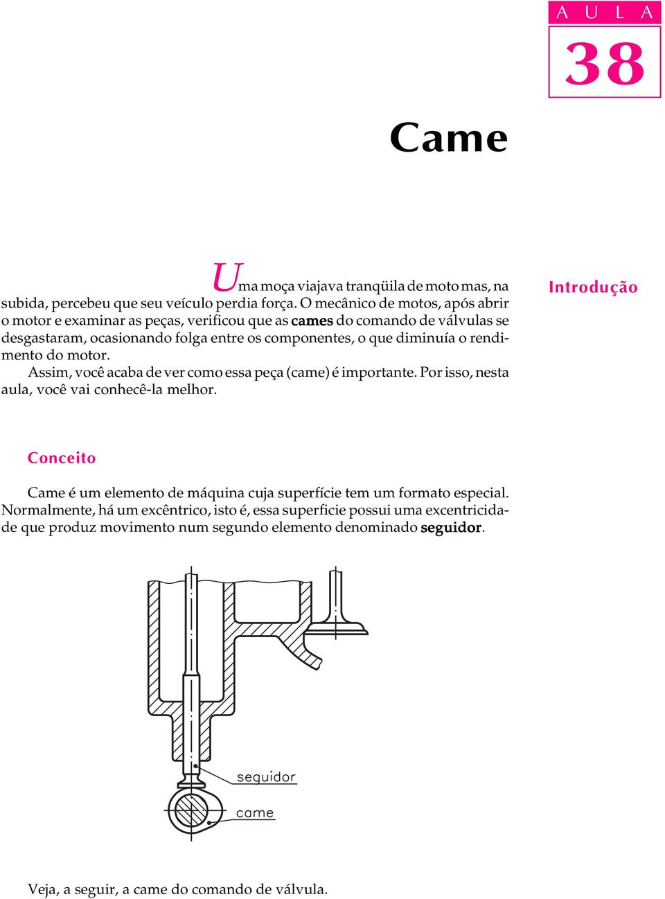 diminuía o rendimento do motor. Assim, você acaba de ver como essa peça (came) é importante. Por isso, nesta aula, você vai conhecê-la melhor.