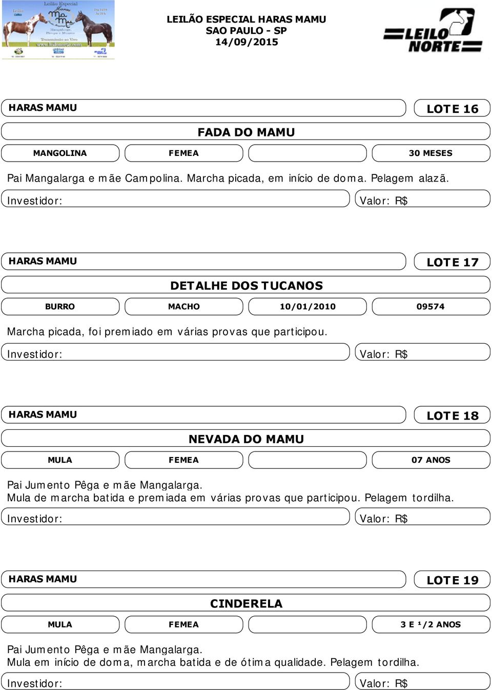 HARAS MAMU LOTE 17 DETALHE DOS TUCANOS BURRO 10/01/2010 09574 Marcha picada, foi premiado em várias provas que participou.